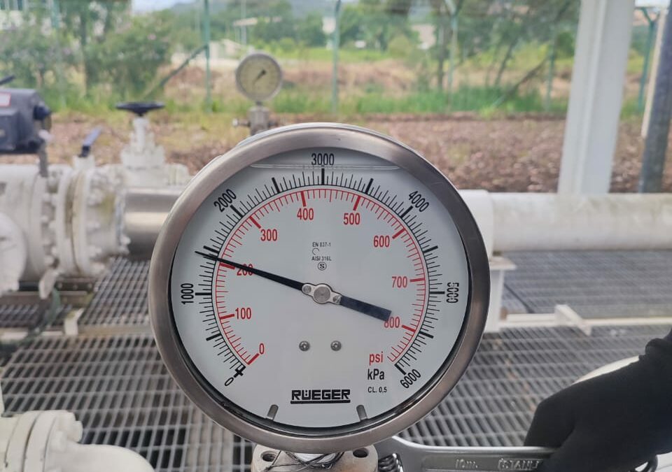 ensetcorp turnaround services