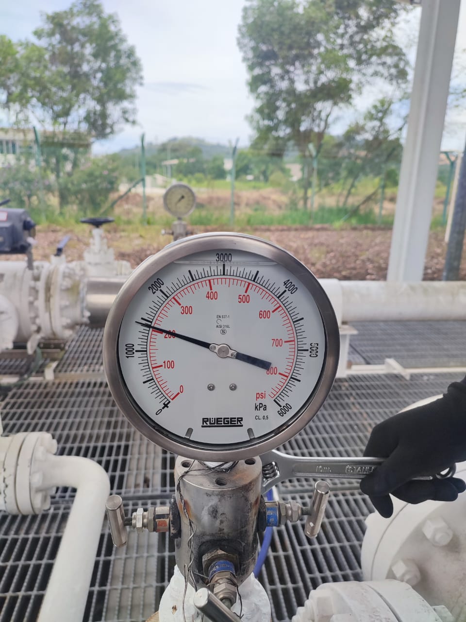 ensetcorp turnaround services