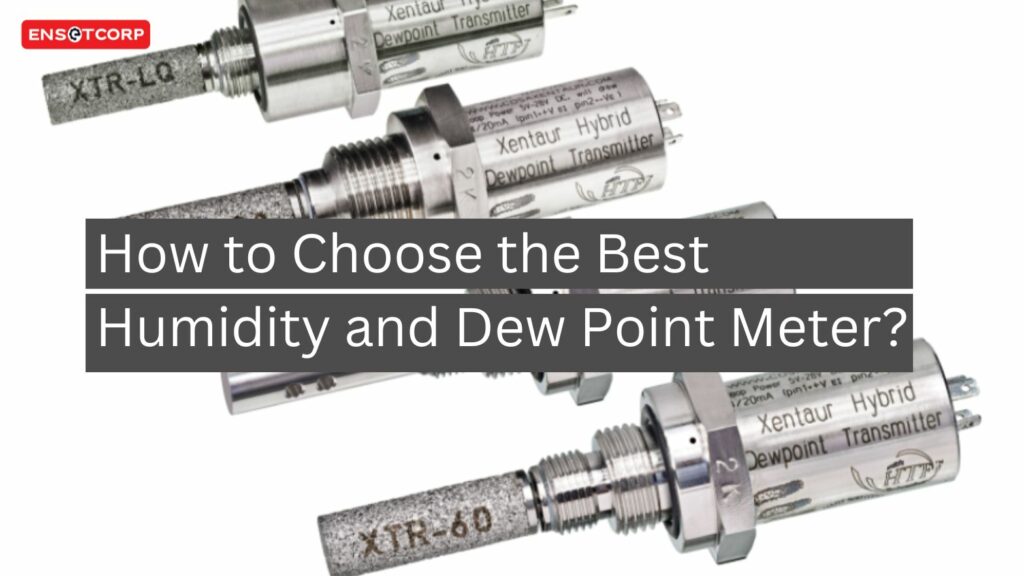 How to Choose the Best Humidity and Dew Point Meter?